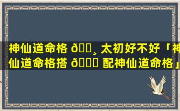 神仙道命格 🕸 太初好不好「神仙道命格搭 🐒 配神仙道命格」